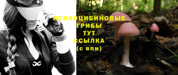 прущая мука Волоколамск